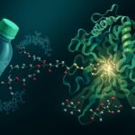 Types of Bacteria that can eat plastics